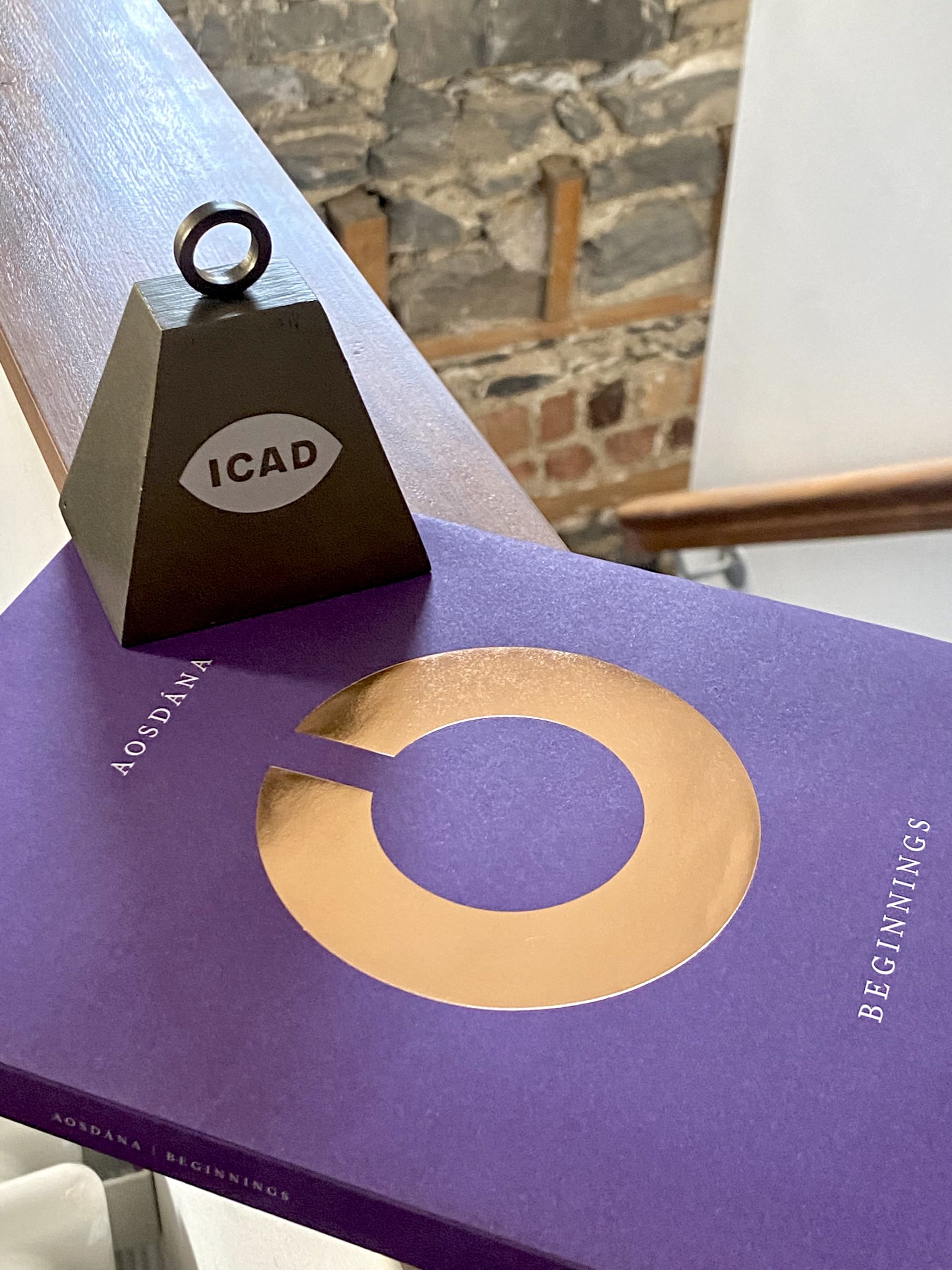 'Aosdána Beginnings' wins ICAD Award